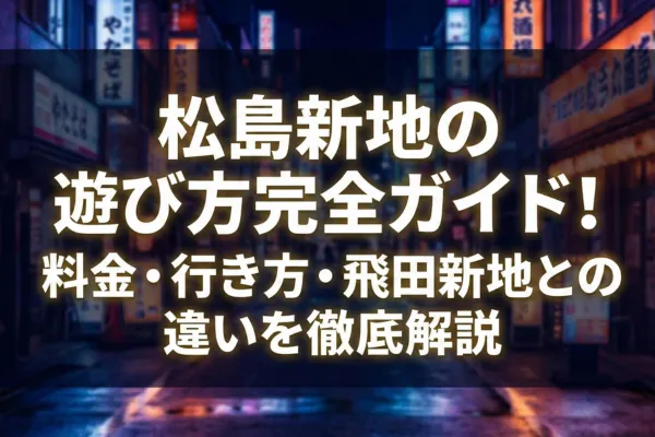 松島新地の遊び方完全ガイド！料金・行き方・飛田新地との違いを徹底解説